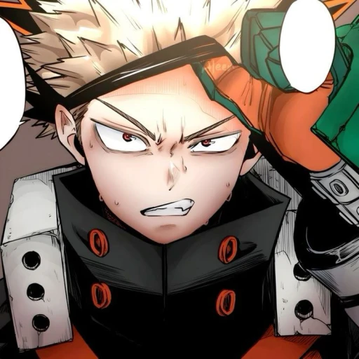 Katsuki Bakugo ¹⁵