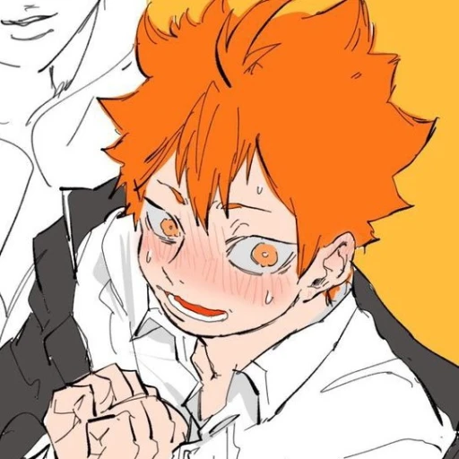 Shoyo Hinata ⁰⁰²⋆₊˚