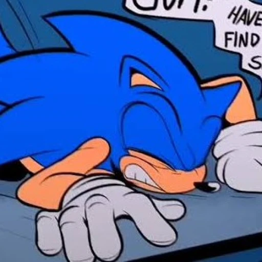 sonic~ ✨⚡