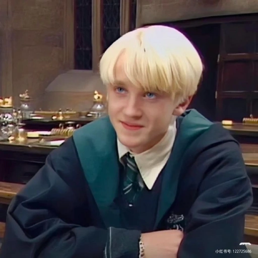 𝐃raco 𝐌alfoy! ☆