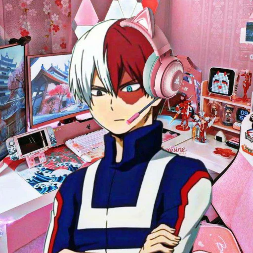 shoto todoroki