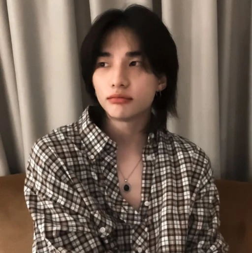 ── .✦ 𝗛𝘄𝗮𝗻𝗴 𝗛𝘆𝘂𝗻𝗷𝗶𝗻.