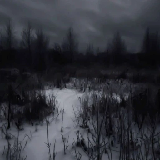 Nuclear winter