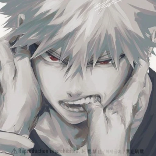 bakugou katsukii