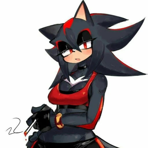Shadow the Hedgehog