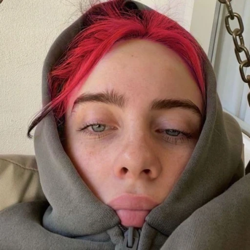billie eilish°³