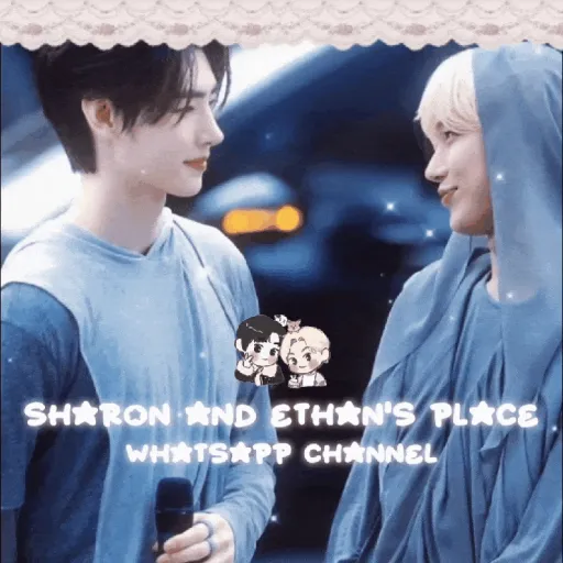 ∿⠀⠀⠀☽⠀⠀⠀whatsapp channel