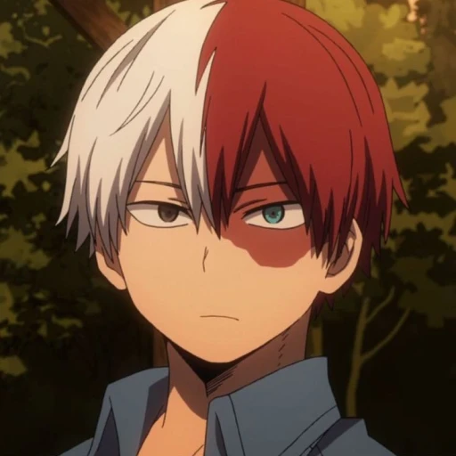 Shoto Todoroki || BL ||
