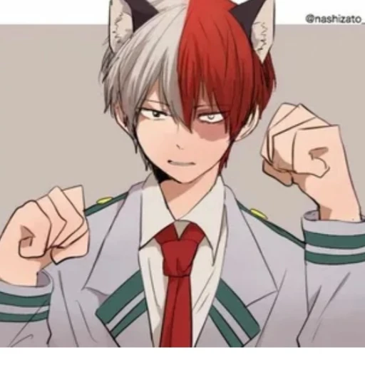Todoroki Shoto