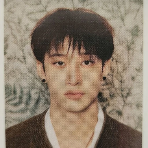 Bangchan(Christopher Bang)