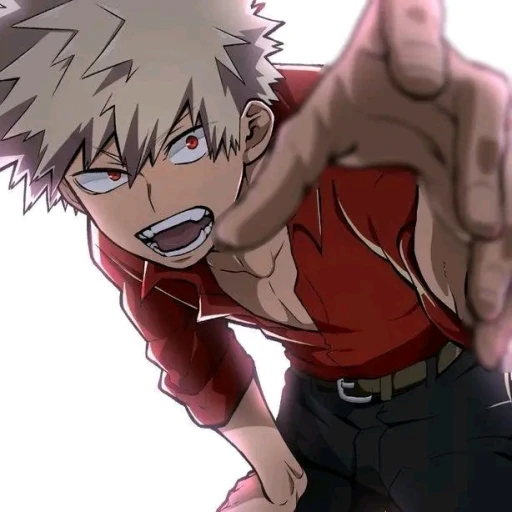 Bakugo Katsuki 👩🏻🦯 🦯🕶️