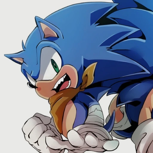 Sonic Boom || NSFW // sonadow boom AU