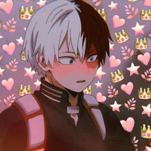 Shota Todoroki
