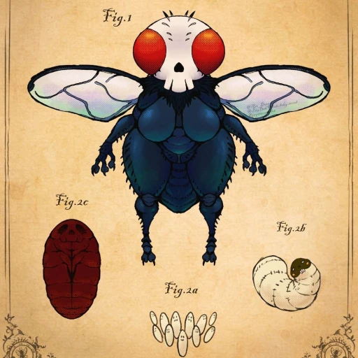 Zum (Ectomorph Fly 🪰)