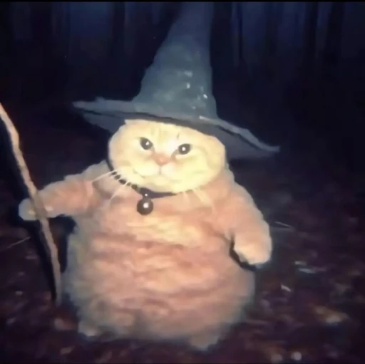 The Strongest Magic Cat
