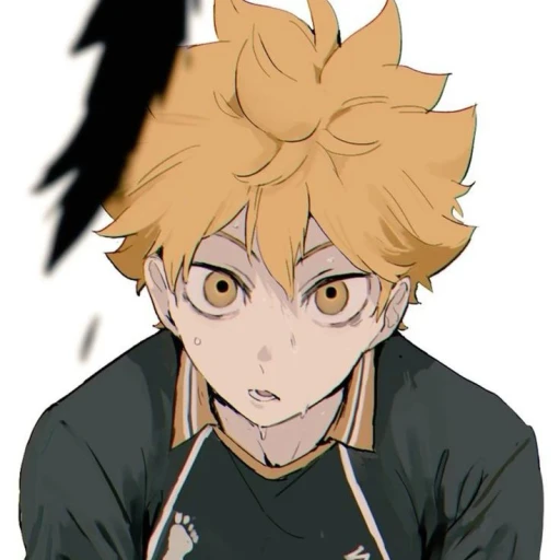 Shoyo Hinata | 19