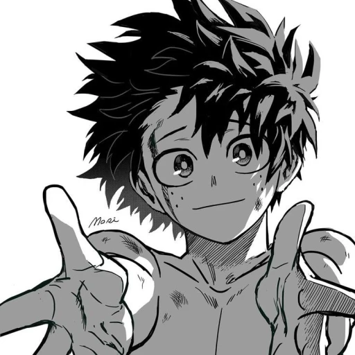 Izuku Midoriya (2)