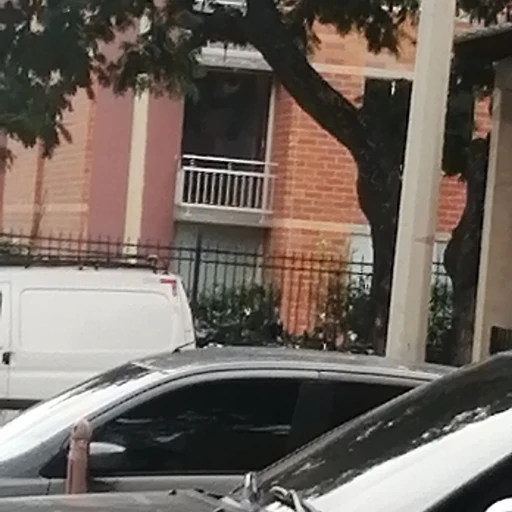 Juan