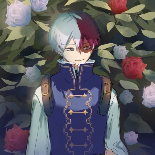 Shoto Todoroki²⁴