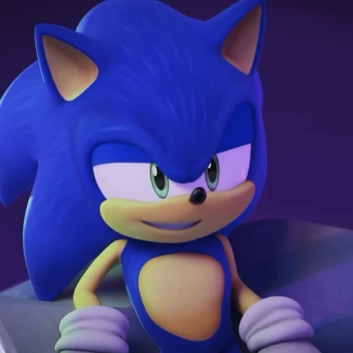Sonic Prime || NSFW // sonadow prime AU