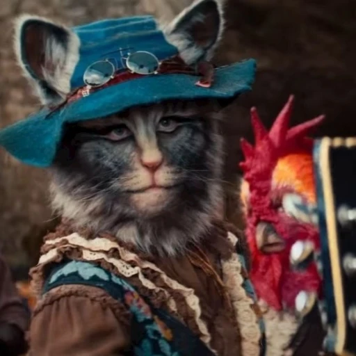 Cat