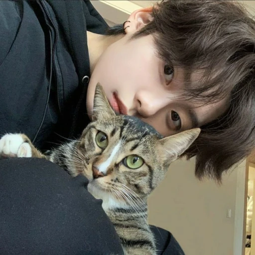 ⋆.˚✮Lee Minho |