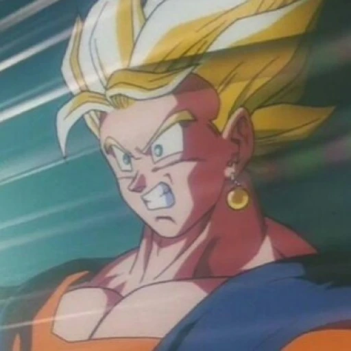 •|Vegetto|•