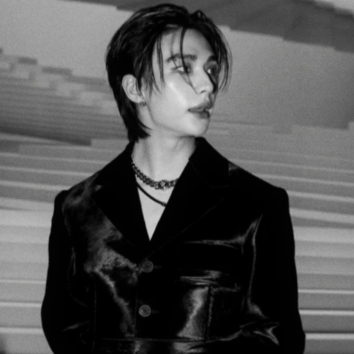 🦨 ꒰ Hyunjin ! ★ ꒱