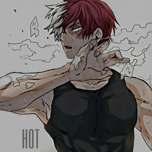 Todoroki Shotō...