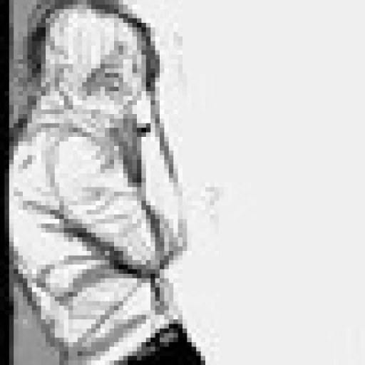 Shoto Todoroki |ex|