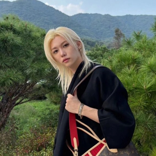 ⸻ ☾ :・゚Lee Felix. ⁵⁹