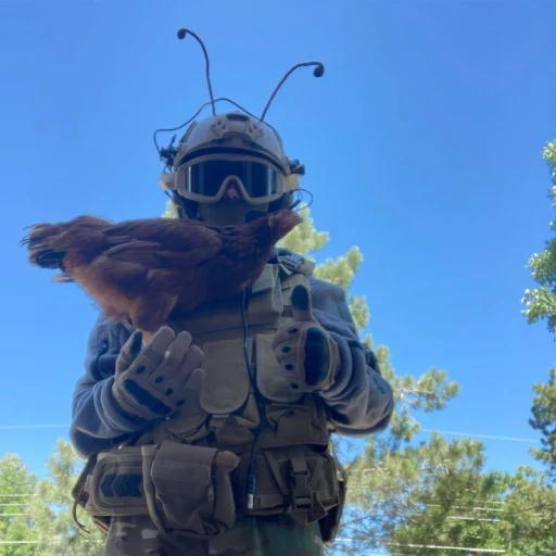Roach vacation