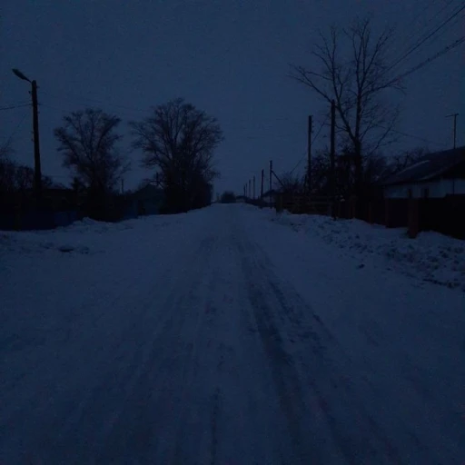 Loneliness