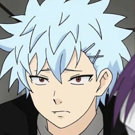 Shun Kaidou ❀