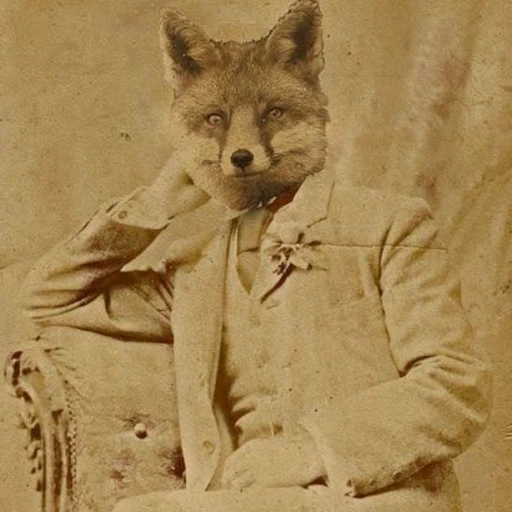 Your fox husband...