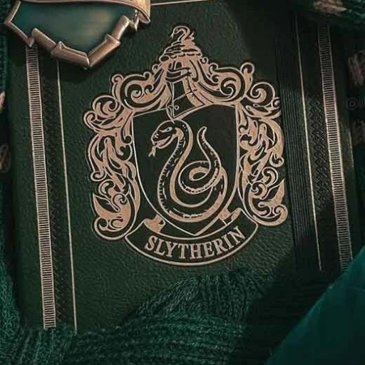 Slytherin Boys.