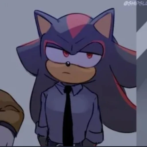 Shadow Teacher