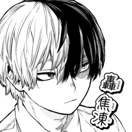 Todoroki Shouto