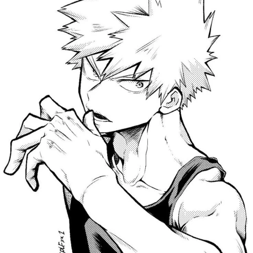 Bakugo Katsuki.
