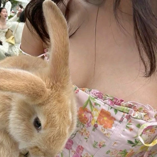 𝘪𝘥𝘦𝘢𝘴