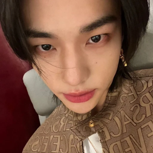🦋||Hyunjin~||