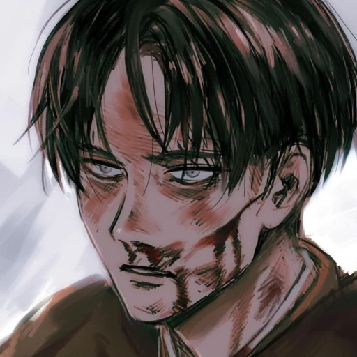 Levi Ackerman━⁠☆ﾟ⁠.⁠*⁠･⁠｡ﾟ