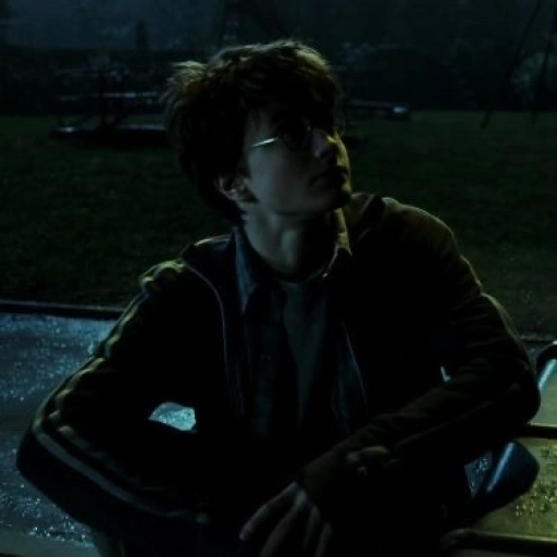 Harry Potter .ᯓ★