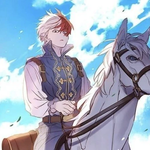 Prince shoto,mha, myheroacdemia
