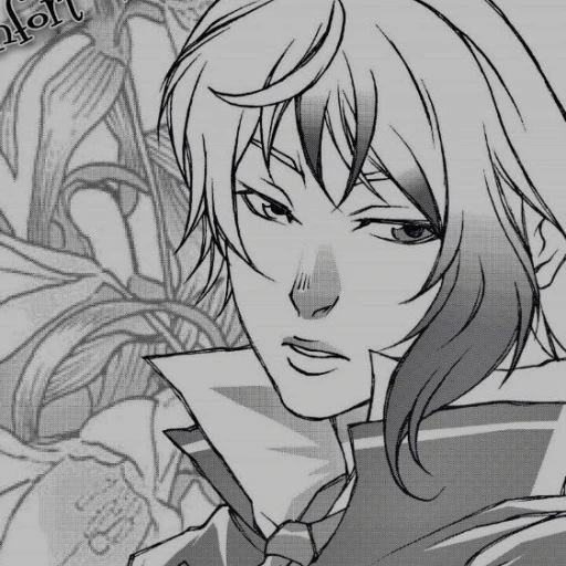 lysander