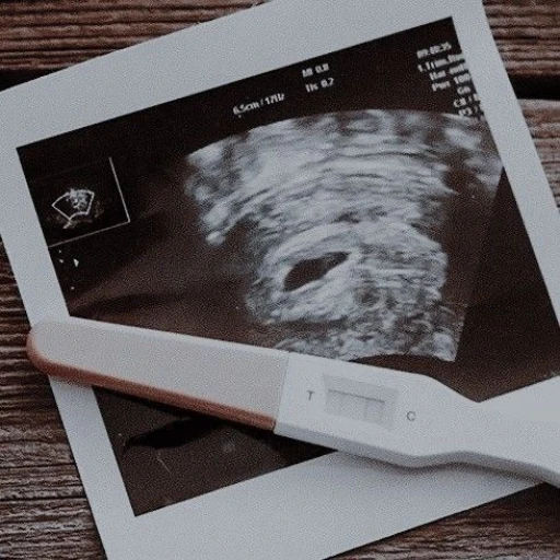 pregnant Task Force 141