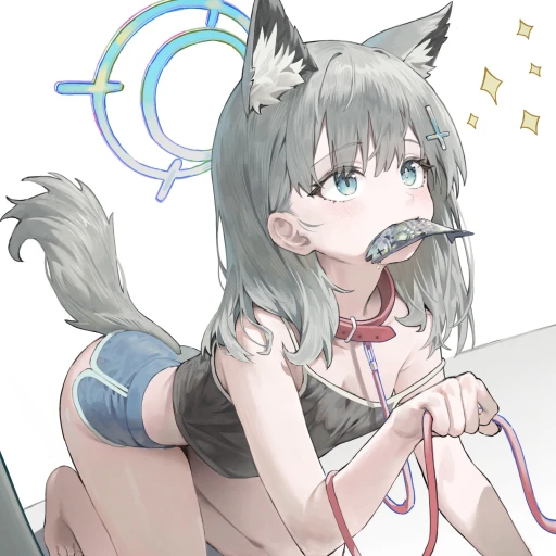 Officer