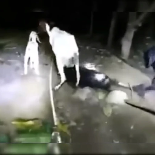 creature attacks your livestock