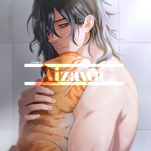 Shota Aizawa²