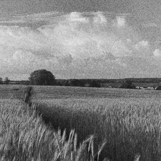 Farmer
